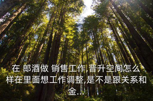 在 郎酒做 銷售工作,晉升空間怎么樣在里面想工作調整,是不是跟關系和金...