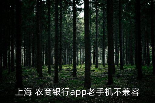 上海農商銀行系統升級暫停服務公告,銀行內部系統升級暫停服務幾天正常