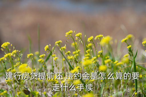 建行房貸提前還 違約金是怎么算的要走什么手續