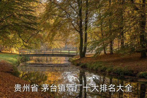 貴州省 茅臺鎮酒廠十大排名大全