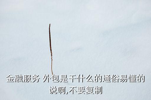 金融服務 外包是干什么的通俗易懂的說啊,不要復制