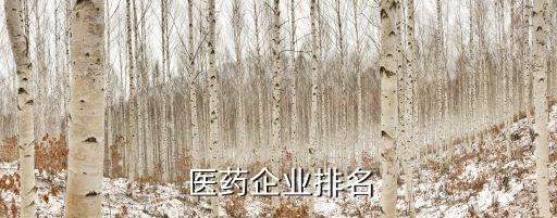 醫藥企業排名