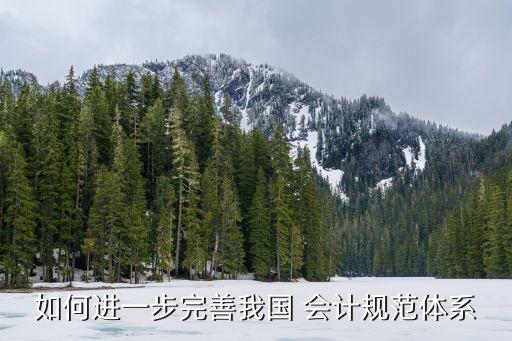 中國會計導向,以顧客為導向對會計的影響