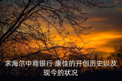 求海爾中商銀行 康佳的開創歷史以及現今的狀況