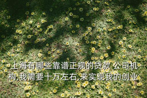  上海有哪些靠譜正規的貸款 公司機構,我需要十萬左右,來實現我的創業...