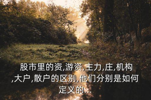  股市里的資,游資,主力,莊,機構,大戶,散戶的區別,他們分別是如何定義的...