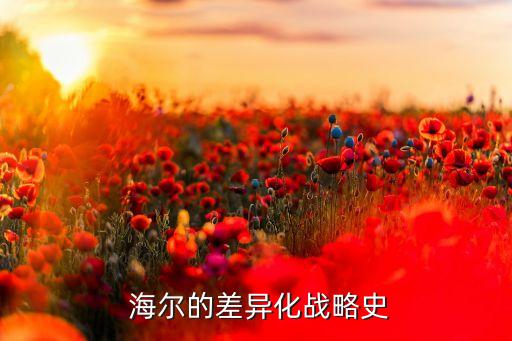  海爾的差異化戰略史