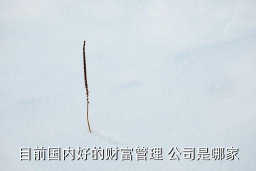 目前國內好的財富管理 公司是哪家