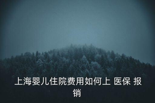  上海嬰兒住院費用如何上 醫保 報銷