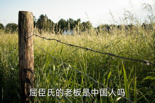 在香港創業版上市的網絡科技公司