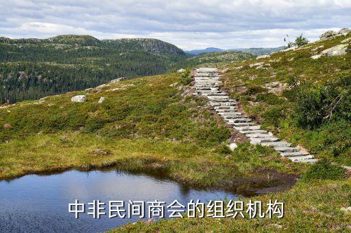 中非民間商會的組織機構