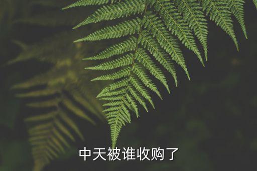 中天城投集團怎么樣,貴州中天城投集團的現狀最新