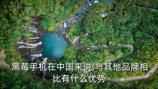  黑莓手機在中國來說,與其他品牌相比有什么優勢