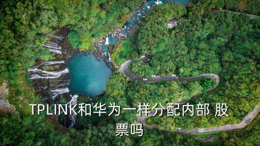 TPLINK和華為一樣分配內部 股票嗎