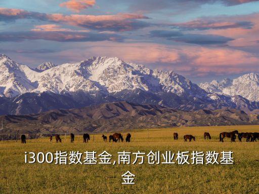 南方i300指數基金,南方創業板指數基金