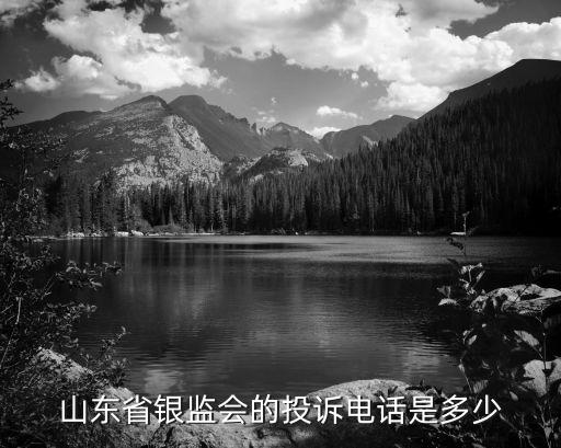 山東省銀監會的投訴電話是多少