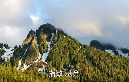 指數 基金