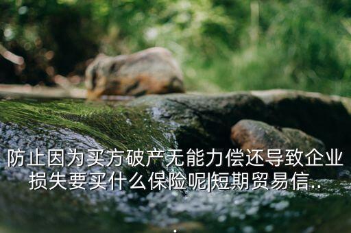 防止因為買方破產無能力償還導致企業(yè)損失要買什么保險呢|短期貿易信...