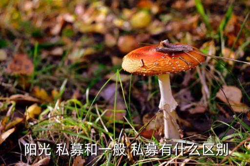  陽光 私募和一般 私募有什么區別