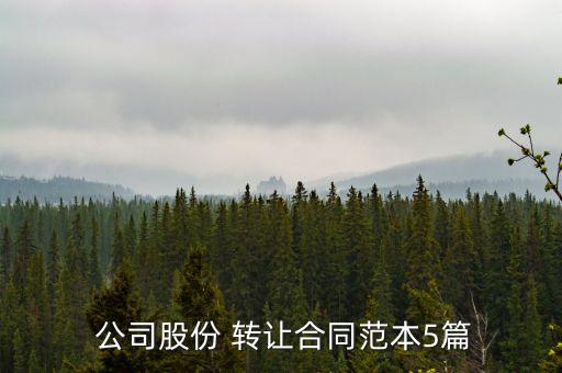 公司財產轉讓協議書,個人獨資企業財產轉讓協議書