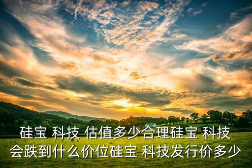硅寶 科技 估值多少合理硅寶 科技會跌到什么價位硅寶 科技發行價多少
