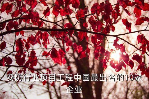 安防行業項目工程中國最出名的10家企業