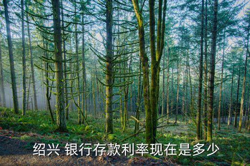 紹興銀行保本理財產品,現在銀行還有保本理財產品嗎