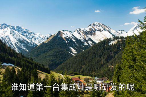 誰知道第一臺集成灶是哪研發的呢