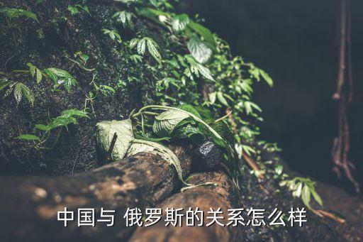 中國與 俄羅斯的關系怎么樣