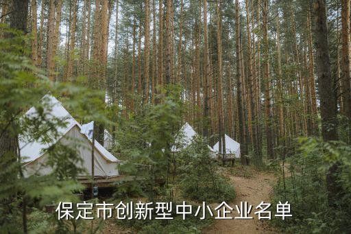 保定市創新型中小企業名單