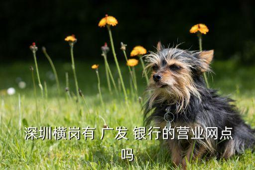  深圳橫崗有 廣發(fā) 銀行的營業(yè)網點嗎