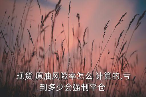  現貨 原油風險率怎么 計算的,虧到多少會強制平倉