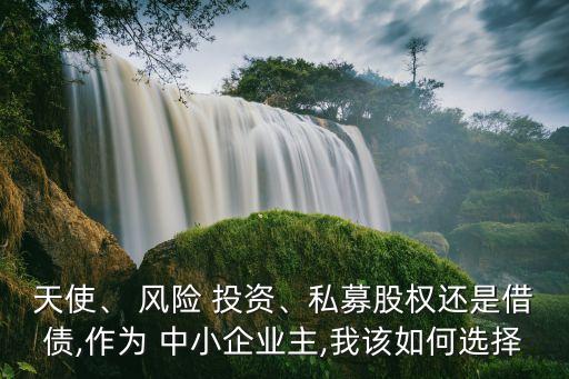 天使、 風險 投資、私募股權還是借債,作為 中小企業主,我該如何選擇