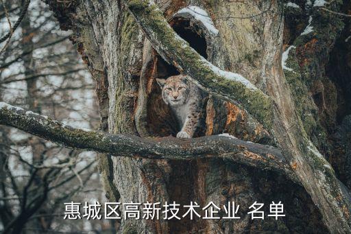 惠城區高新技術企業 名單