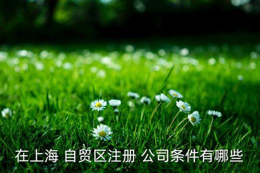 自貿區1元注冊公司,昆明自貿區注冊公司有什么優勢