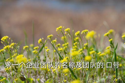 求一個企業團隊的名稱及團隊的 口號、