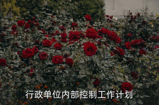 行政單位內部控制工作計劃