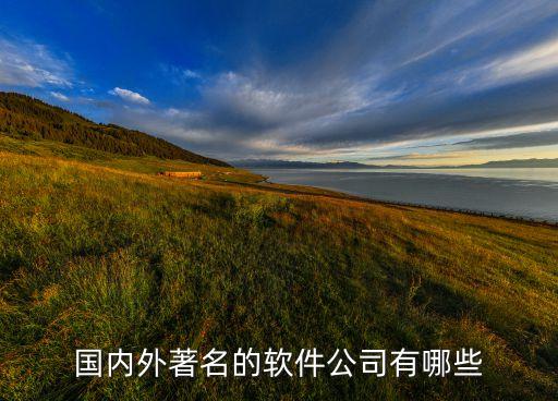 國內外著名的軟件公司有哪些