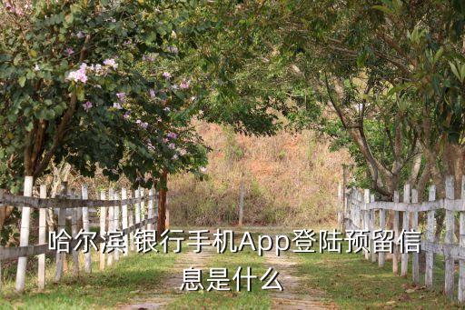  哈爾濱 銀行手機App登陸預留信息是什么