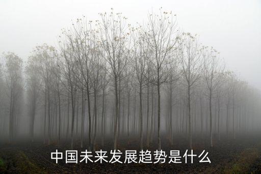 中國未來發展趨勢是什么