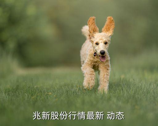 兆新股份行情最新 動態