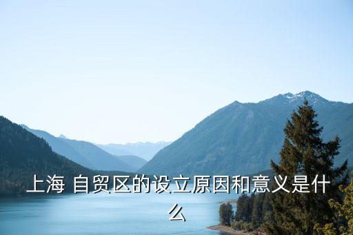 上海自貿區成就