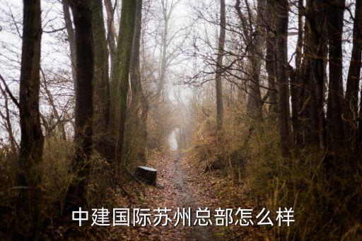 中建海外發展有限公司,上海中建海外發展有限公司