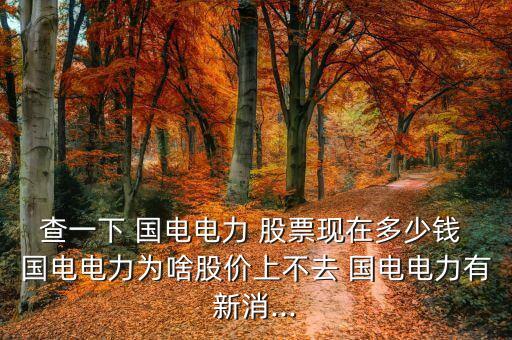 查一下 國電電力 股票現在多少錢 國電電力為啥股價上不去 國電電力有新消...