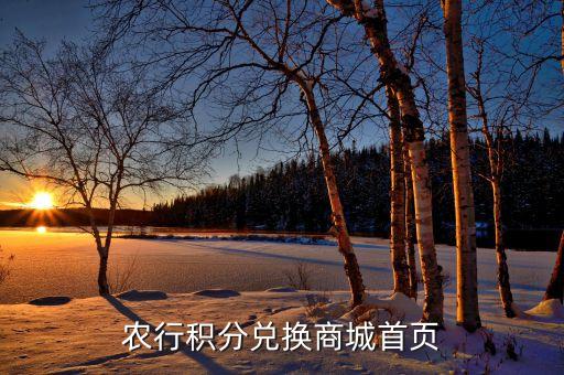 農業銀行首業,中國農業銀行首頁