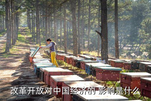 對外開放對中國發展的影響