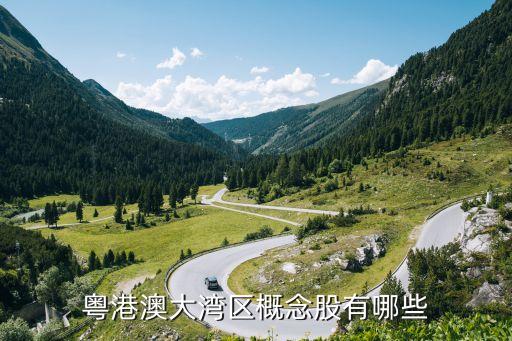 粵港澳大灣區概念股有哪些