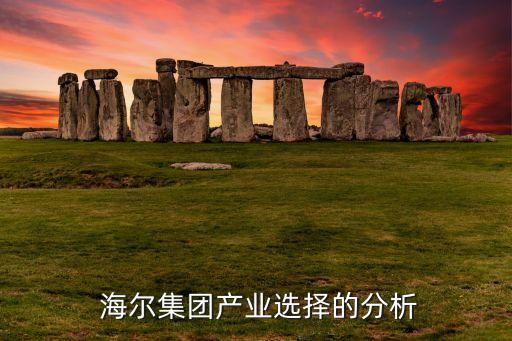  海爾集團產業選擇的分析