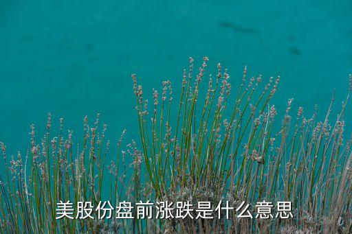 股票市場(chǎng)異象,我國股票市場(chǎng)有哪些典型的異象?