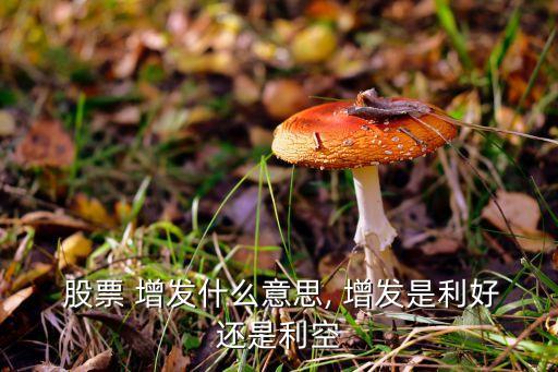 股票內部增發,內部增發股票是好是壞